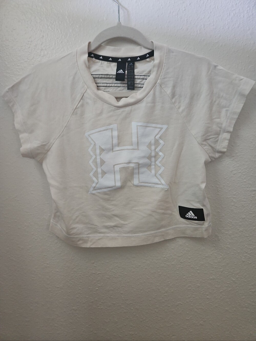 Gorpcore adidas Hawaii Rainbow Warriors Cropped Tee • Small Cream